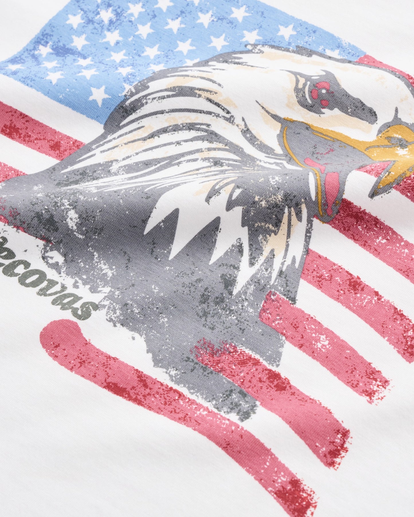 Men's Eagle T-Shirt | Tecovas Men