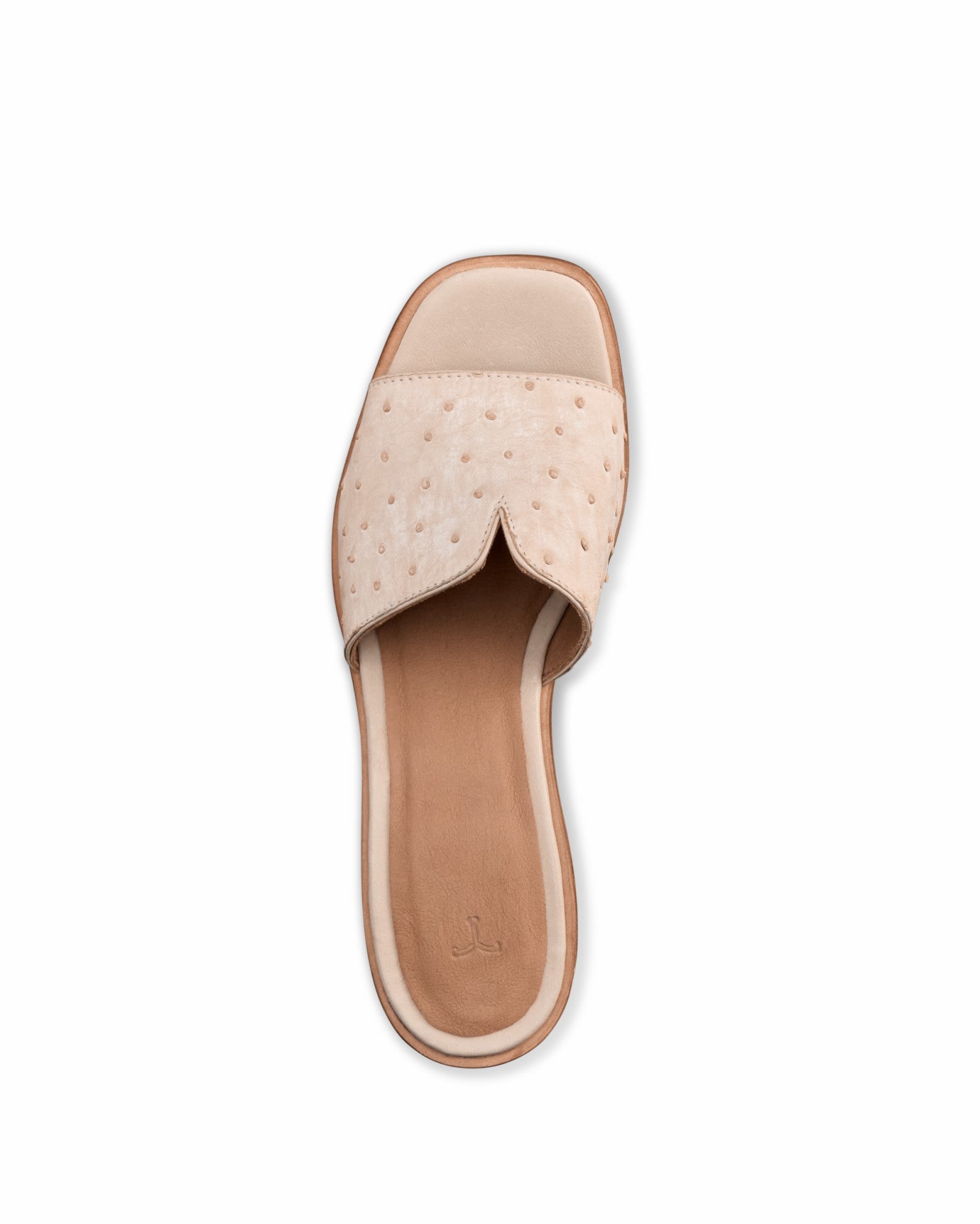 The Carmen Paloma | Tecovas New Arrivals